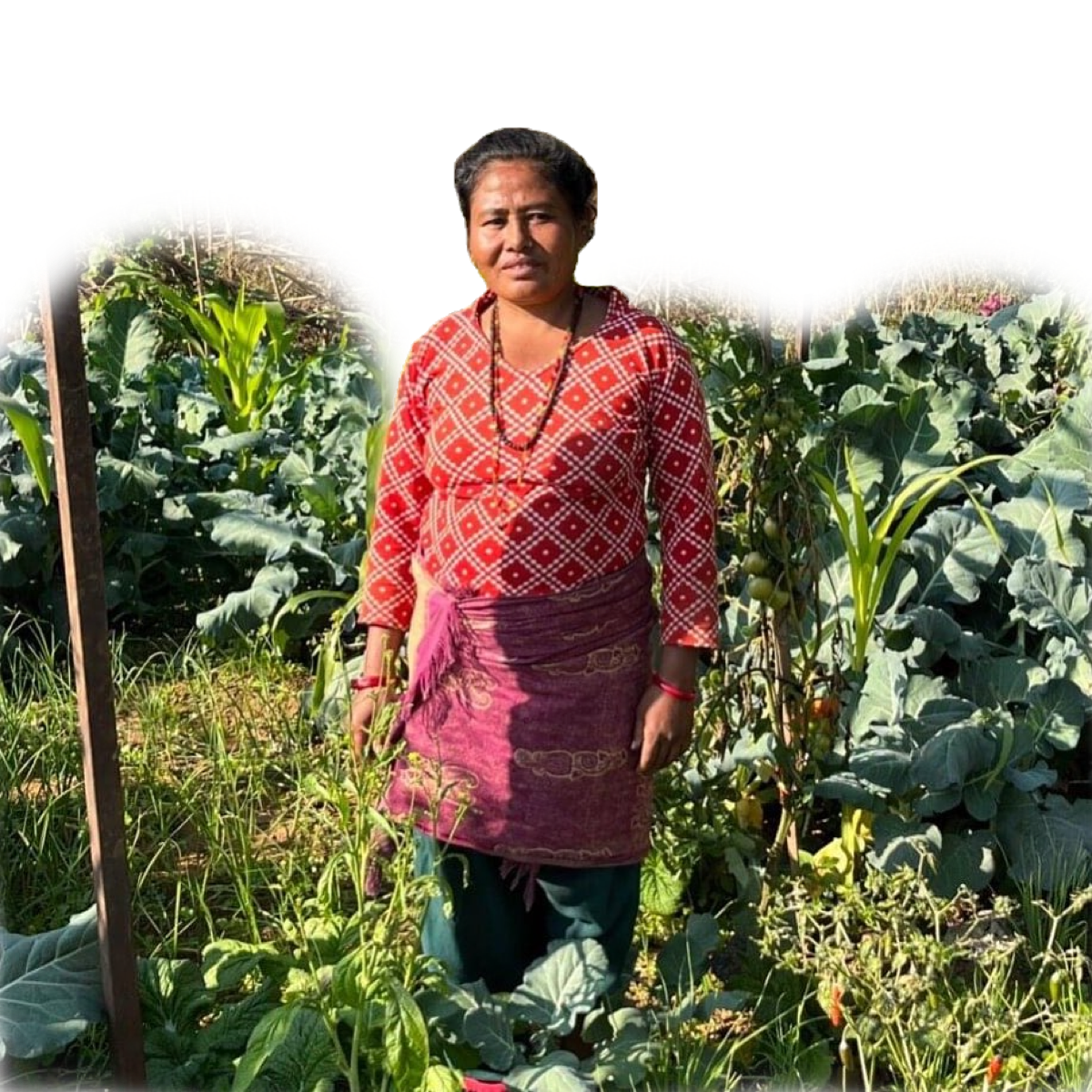A WSHG member stands in the kitchen garden she tends — broccoli, mustard greens and seedling rows behind her.
